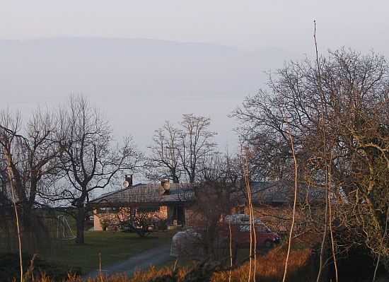 Биография за семью замками: кто такая Ирина Коломойская и почему ее никто не видел